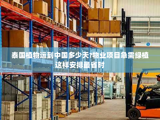 泰国植物运到中国多少天?物业项目急需绿植这样安排最省时