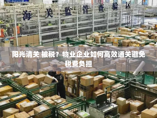 阳光清关 被税?物业企业如何高效通关避免税费负担 阳光清关 被税?物业企业如何高效通关避免税费负担