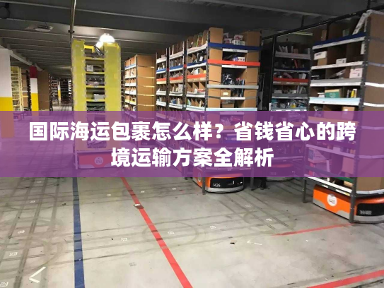 国际海运包裹怎么样？省钱省心的跨境运输方案全解析