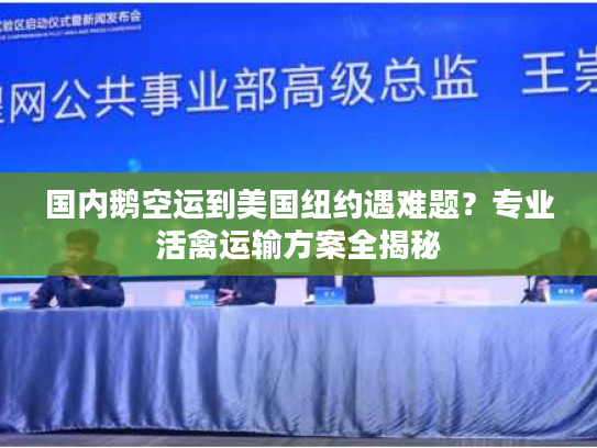 国内鹅空运到美国纽约遇难题?专业活禽运输方案全揭秘 国内鹅空运到美国纽约遇难题?专业活禽运输方案全揭秘
