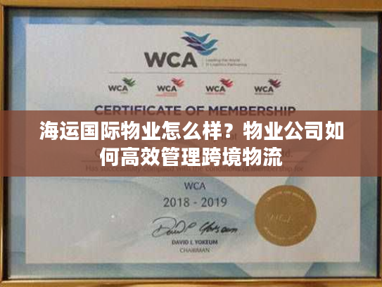 海运国际物业怎么样？物业公司如何高效管理跨境物流