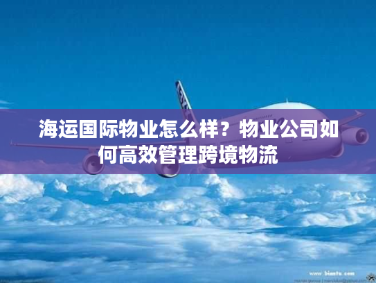 海运国际物业怎么样？物业公司如何高效管理跨境物流