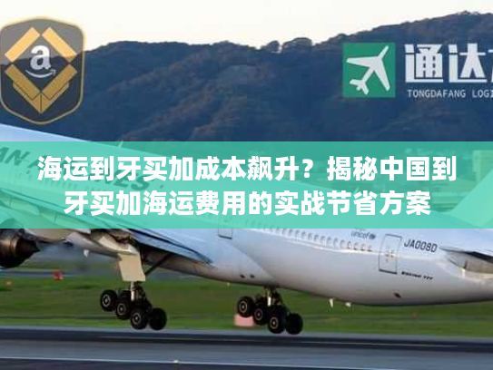 海运到牙买加成本飙升？揭秘中国到牙买加海运费用的实战节省方案