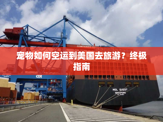 宠物如何空运到美国去旅游？终极指南