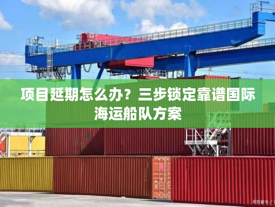 项目延期怎么办？三步锁定靠谱国际海运船队方案