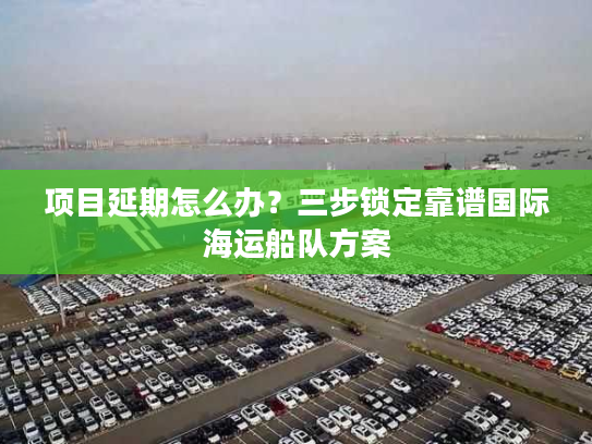 项目延期怎么办？三步锁定靠谱国际海运船队方案