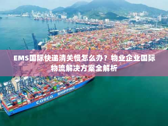 EMS国际快递清关慢怎么办?物业企业国际物流解决方案全解析 EMS国际快递清关慢怎么办?物业企业国际物流解决方案全解析