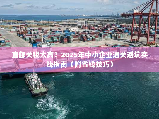 直邮关税太高？2025年中小企业通关避坑实战指南（附省钱技巧）
