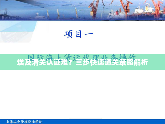 埃及清关认证难？三步快速通关策略解析