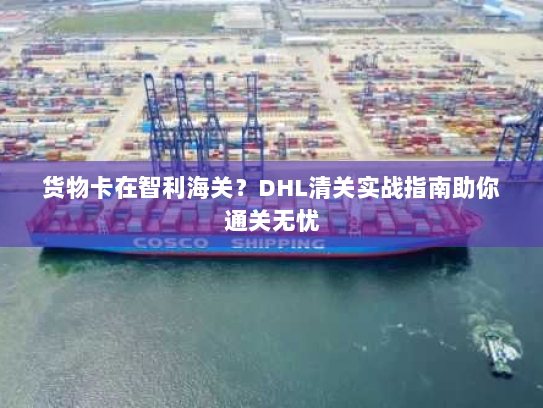 货物卡在智利海关？DHL清关实战指南助你通关无忧