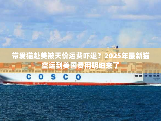 带爱猫赴美被天价运费吓退?2025年最新猫空运到美国费用明细来了 带爱猫赴美被天价运费吓退?2025年最新猫空运到美国费用明细来了