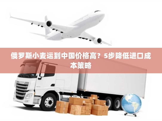 俄罗斯小麦运到中国价格高?5步降低进口成本策略 俄罗斯小麦运到中国价格高?5步降低进口成本策略