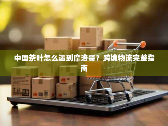 中国茶叶怎么运到摩洛哥？跨境物流完整指南