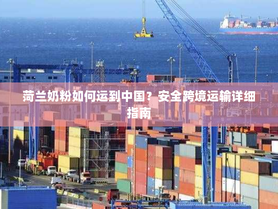 菏兰奶粉如何运到中国？安全跨境运输详细指南