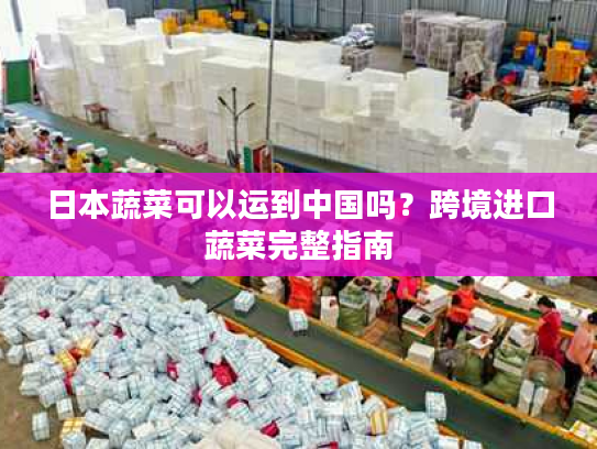 日本蔬菜可以运到中国吗？跨境进口蔬菜完整指南
