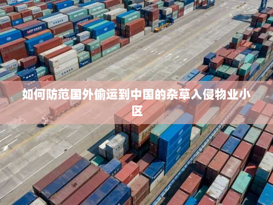 如何防范国外偷运到中国的杂草入侵物业小区