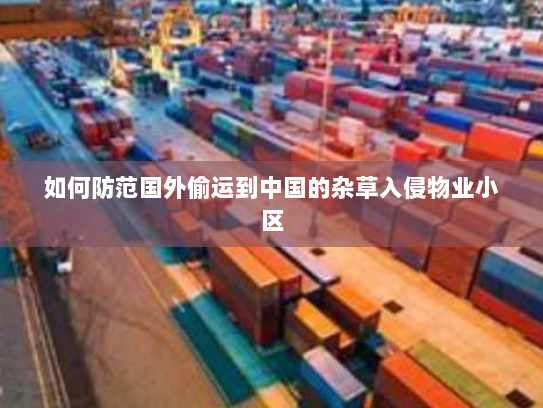 如何防范国外偷运到中国的杂草入侵物业小区