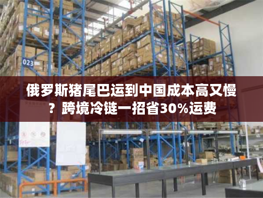 俄罗斯猪尾巴运到中国成本高又慢？跨境冷链一招省30%运费