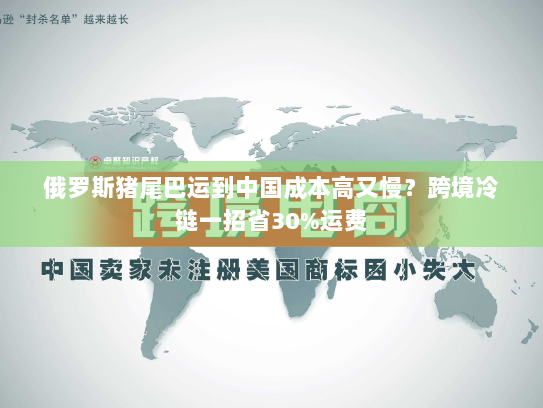 俄罗斯猪尾巴运到中国成本高又慢？跨境冷链一招省30%运费