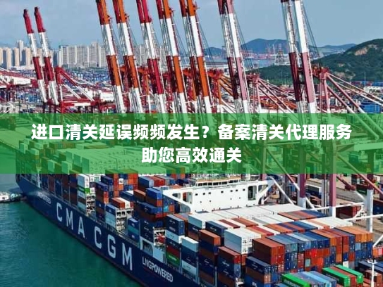 进口清关延误频频发生？备案清关代理服务助您高效通关