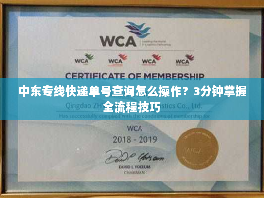 中东专线快递单号查询怎么操作?3分钟掌握全流程技巧 中东专线快递单号查询怎么操作?3分钟掌握全流程技巧