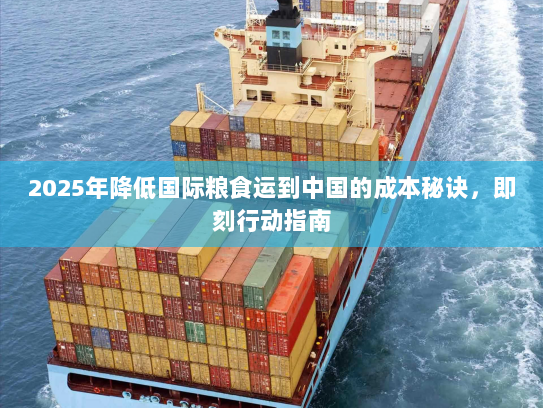 2025年降低国际粮食运到中国的成本秘诀，即刻行动指南