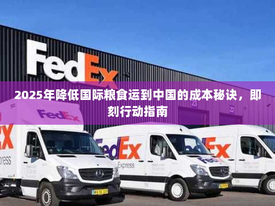 2025年降低国际粮食运到中国的成本秘诀,即刻行动指南 2025年降低国际粮食运到中国的成本秘诀,即刻行动指南