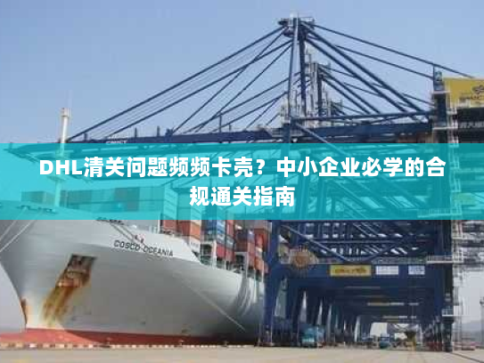 DHL清关问题频频卡壳?中小企业必学的合规通关指南 DHL清关问题频频卡壳?中小企业必学的合规通关指南