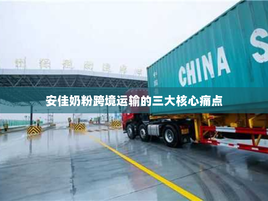 安佳奶粉跨境运输的三大核心痛点 安佳奶粉跨境运输的三大核心痛点