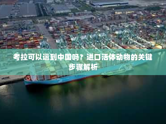 考拉可以运到中国吗？进口活体动物的关键步骤解析