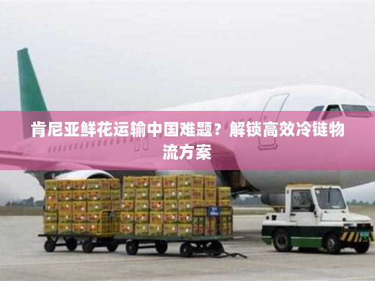 肯尼亚鲜花运输中国难题?解锁高效冷链物流方案 肯尼亚鲜花运输中国难题?解锁高效冷链物流方案