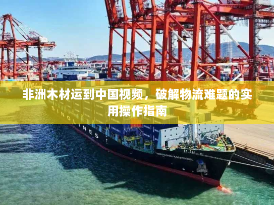 非洲木材运到中国视频，破解物流难题的实用操作指南