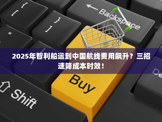 2025年智利船运到中国航线费用飙升?三招速降成本时效! 2025年智利船运到中国航线费用飙升?三招速降成本时效!