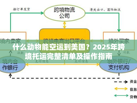 什么动物能空运到美国？2025年跨境托运完整清单及操作指南