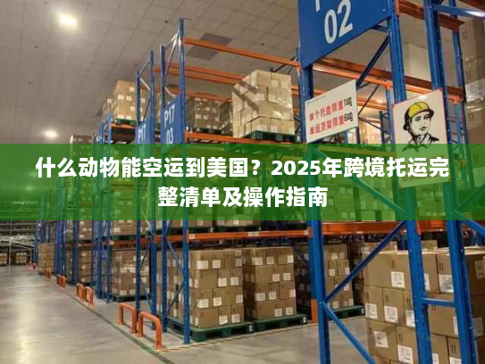 什么动物能空运到美国？2025年跨境托运完整清单及操作指南