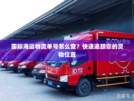 国际海运物流单号怎么查？快速追踪您的货物位置