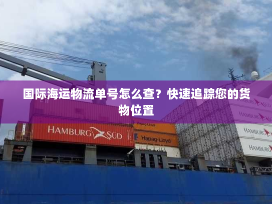 国际海运物流单号怎么查？快速追踪您的货物位置