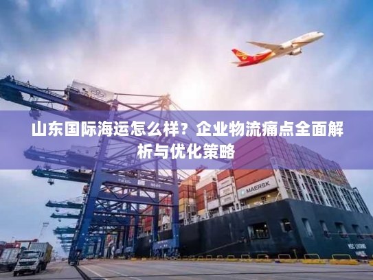 山东国际海运怎么样？企业物流痛点全面解析与优化策略