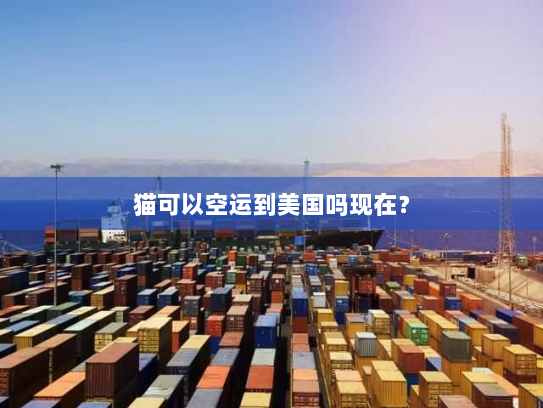 猫可以空运到美国吗现在？
