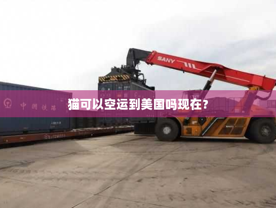 猫可以空运到美国吗现在？