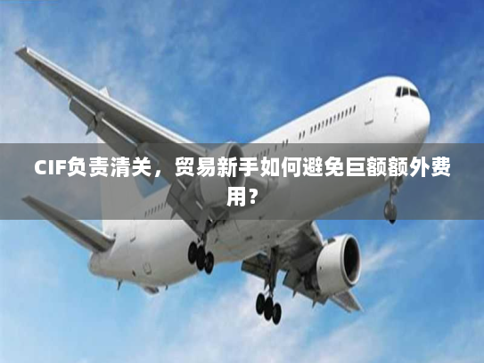 CIF负责清关，贸易新手如何避免巨额额外费用？