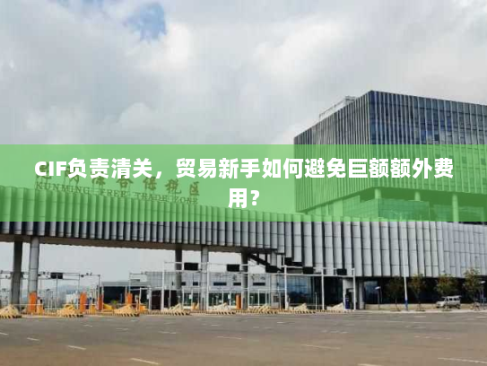 CIF负责清关,贸易新手如何避免巨额额外费用? CIF负责清关,贸易新手如何避免巨额额外费用?