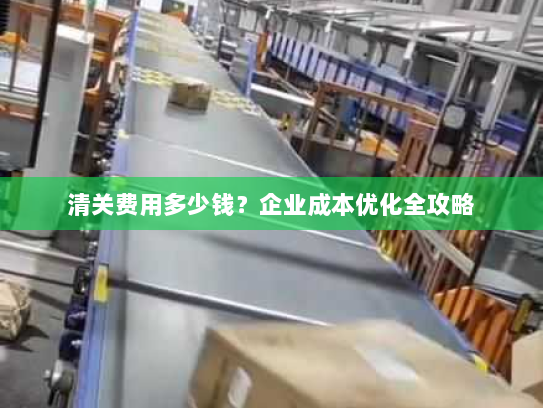 清关费用多少钱？企业成本优化全攻略