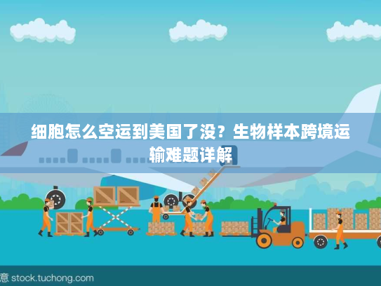 细胞怎么空运到美国了没?生物样本跨境运输难题详解 细胞怎么空运到美国了没?生物样本跨境运输难题详解