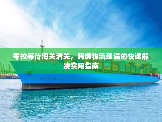 考拉等待海关清关，跨境物流延误的快速解决实用指南