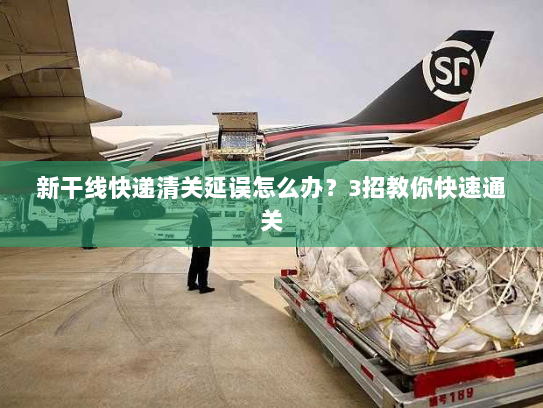 新干线快递清关延误怎么办?3招教你快速通关 新干线快递清关延误怎么办?3招教你快速通关