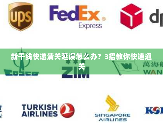 新干线快递清关延误怎么办?3招教你快速通关 新干线快递清关延误怎么办?3招教你快速通关