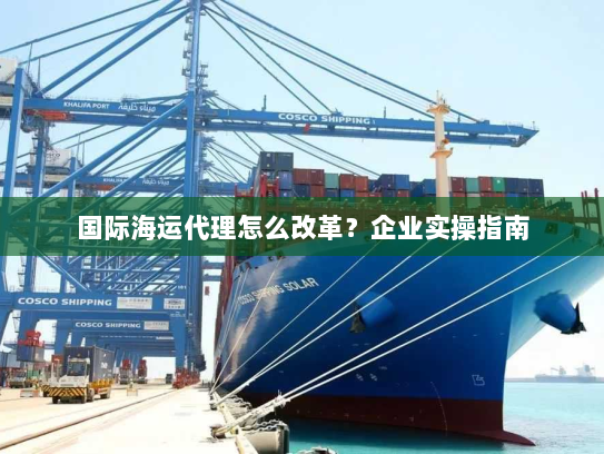国际海运代理怎么改革?企业实操指南 国际海运代理怎么改革?企业实操指南