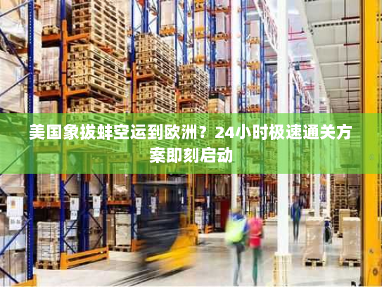 美国象拔蚌空运到欧洲?24小时极速通关方案即刻启动 美国象拔蚌空运到欧洲?24小时极速通关方案即刻启动