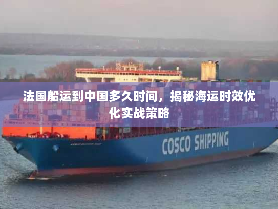 法国船运到中国多久时间，揭秘海运时效优化实战策略